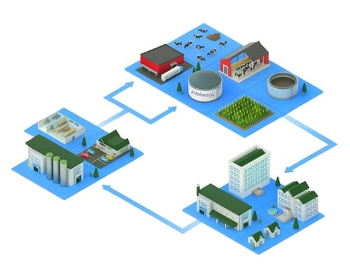 Intelienco-infographic - homepage