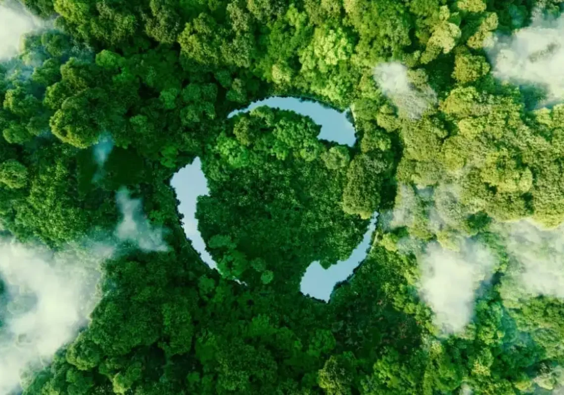 intelienco-circular-bioeconomy-blog-post