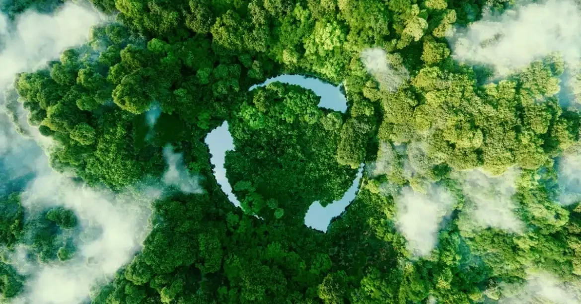 intelienco-circular-bioeconomy-blog-post