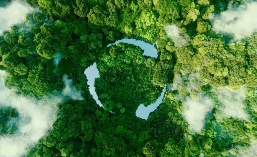 intelienco-circular-bioeconomy-blog-post